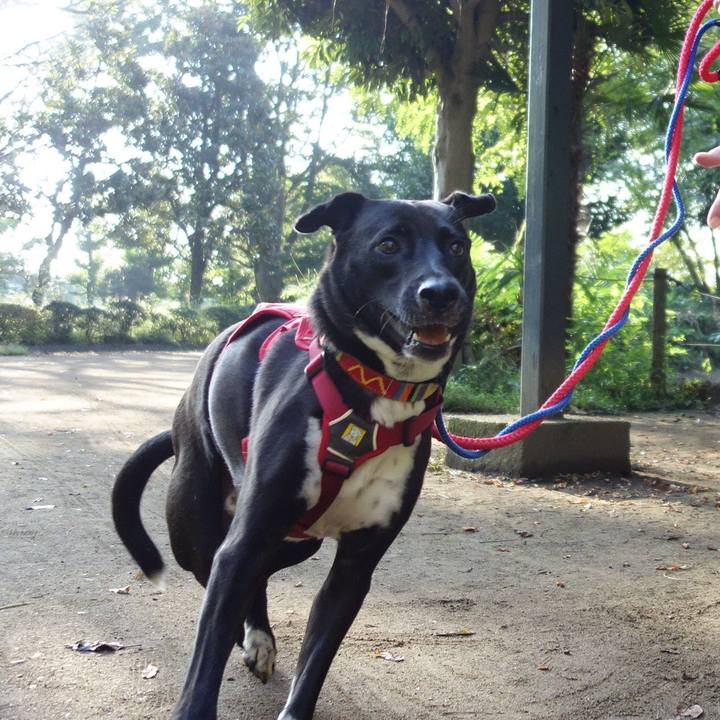 9dc004e3 21e9 472b 93da 8248b4759edf 1601597923727