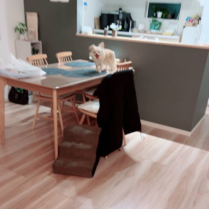 9dc02100 d36e 42d6 9c35 4823ae19fcdd 1711616267793