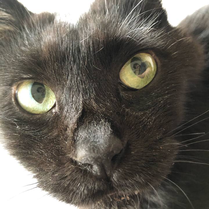 9dc03ae3 f54d 4a53 8510 3ad6d44217c1 1633130228227