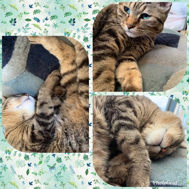 9dc04367 182a 4f05 b426 4c1a6d80c141 1555748920500