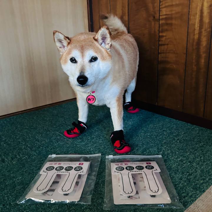 9dc09347 bd1a 4966 823d f5f20872a24e 1727166235963