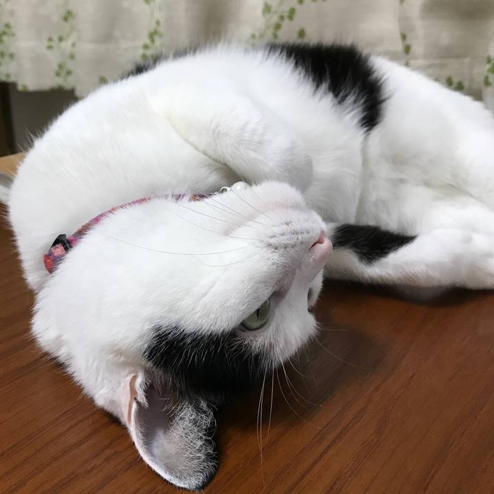 9dc1057b 490d 42c1 ba27 6234a274c650 1535802421806