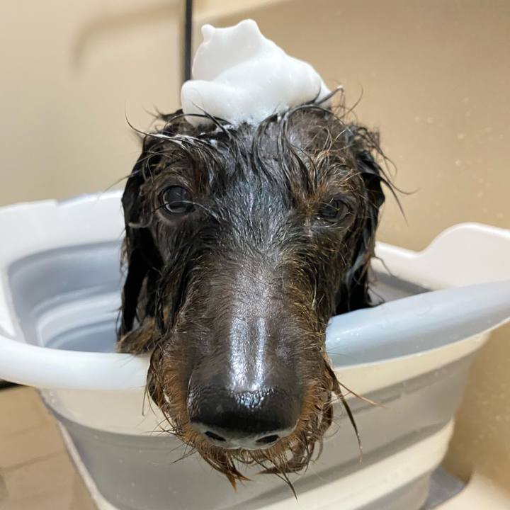 9dc112f0 b8c5 46f8 a30e 35b009e83a17 1605958376450