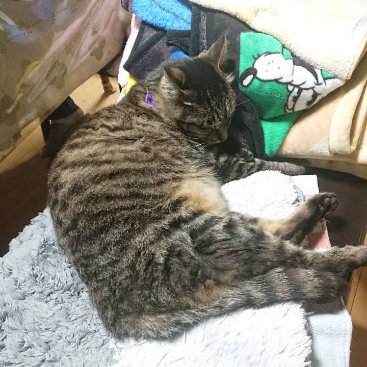 9dc1225a 0a0b 415f b66f b51fbf5e8a8b 1652616230325