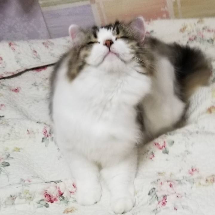 9dc149aa 28f0 4920 bb89 d0eb6f29c5c9 1567604636890