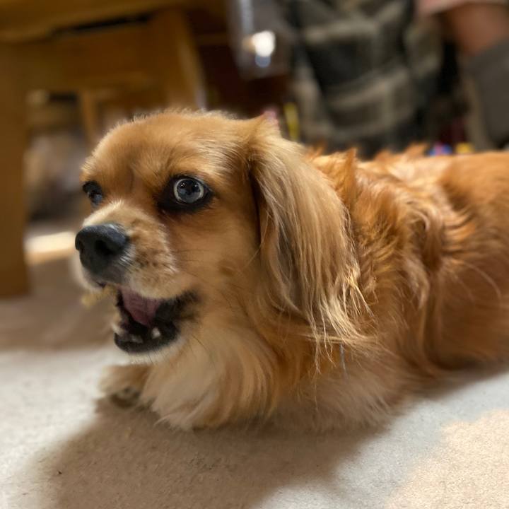 9dc1a8b2 bd94 4e5a 983a 2b80c0186550 1573768665449