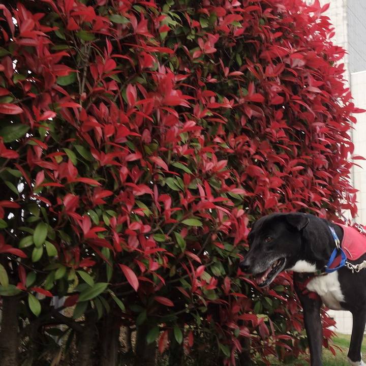 9dc1cb6b 3c69 4680 96ca ffe5b87a7fcb 1680914001055