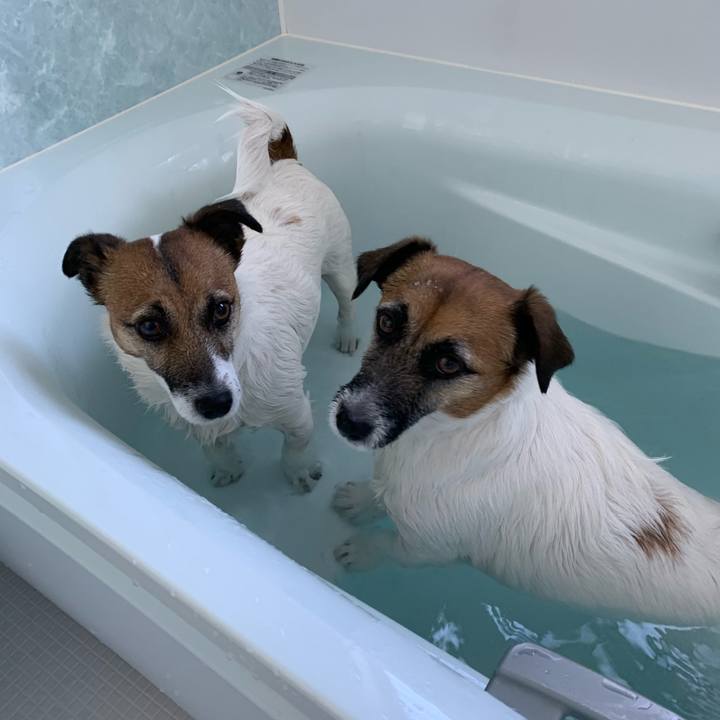 9dc1d3a8 b4e0 4f65 a25b 596e849e185a 1615689251171