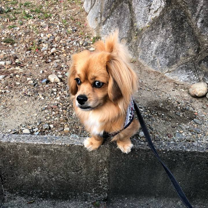 9dc22ff4 40a8 485e 9e02 5cd4a3e2f9a2 1522537856276