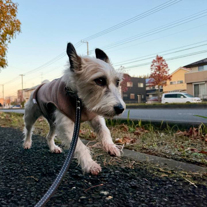 9dc23434 9138 4ec9 bfdc b564f8d8d0e9 1764231973172