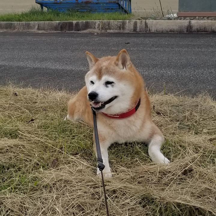 9dc24ac7 acaf 44cd 90c9 5ff47e8af30f 1729150833304