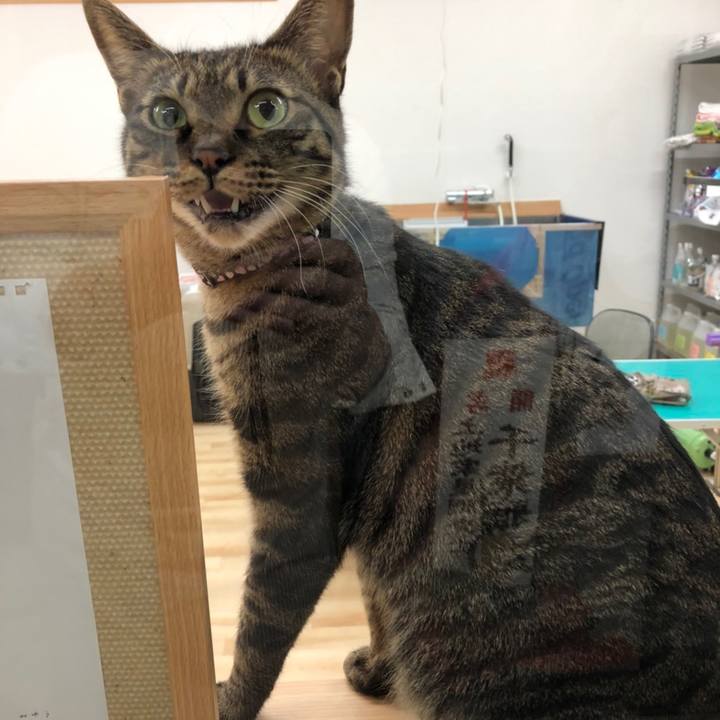 9dc26223 dd40 4868 8e3a 0cb238cda325 1579478472815