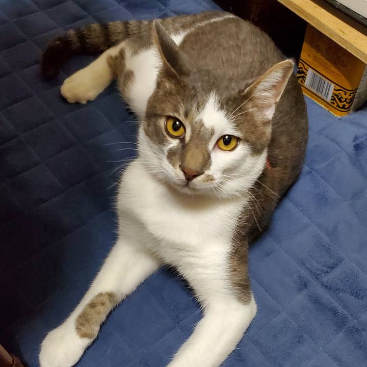 9dc2ad12 bb1a 4281 8b4b 29ebeaae1fdf 1687081940637