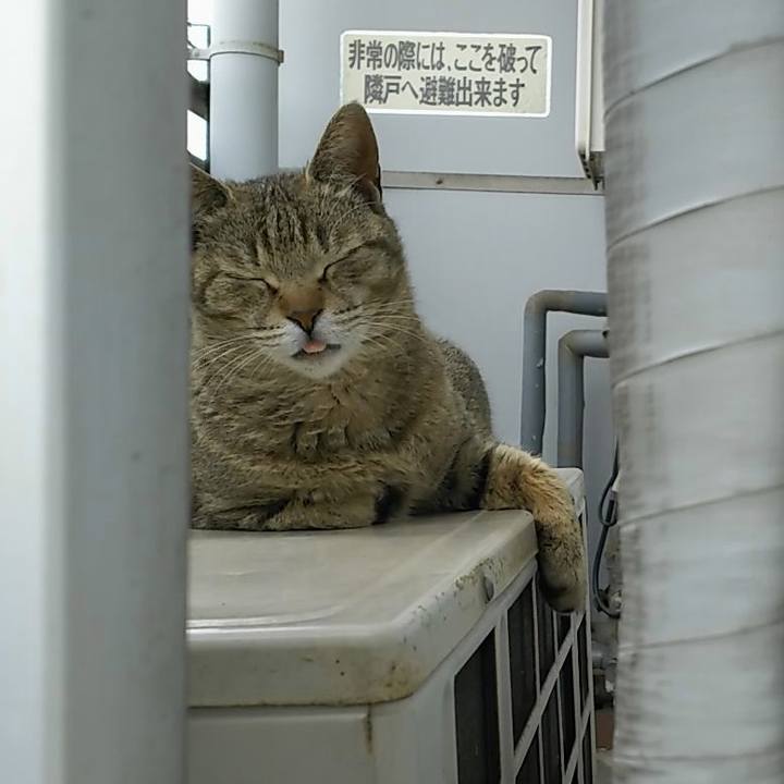 9dc2ee7b 6791 40aa b349 deda05169b58 1557465239010