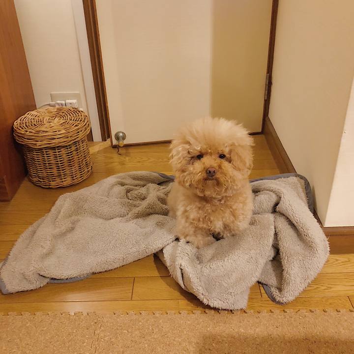 9dc2f653 1ed9 42da 8a9c 6de8e90b5326 1519001281443