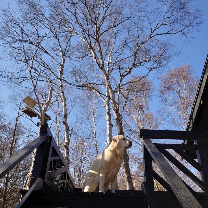 9dc335c5 b166 4b55 972f af0ea2db44bc 1680309907170