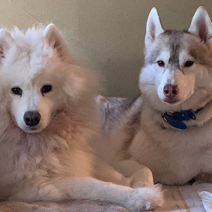 9dc34dff a60d 4eb3 8e94 f79afaab9992 1633159353115