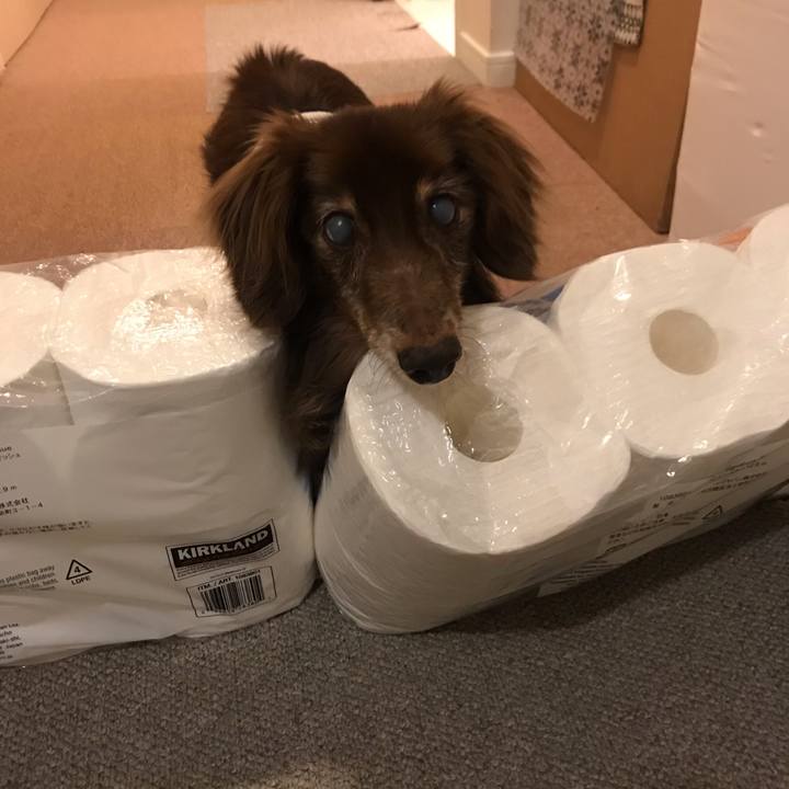 9dc3637b 54b8 4570 8df5 bfb71f578fb6 1561732146884