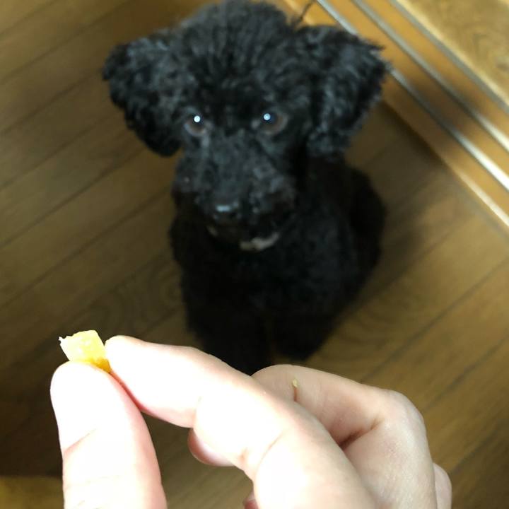 9dc388a9 274c 4d59 a041 909d45c847d3 1547886313149