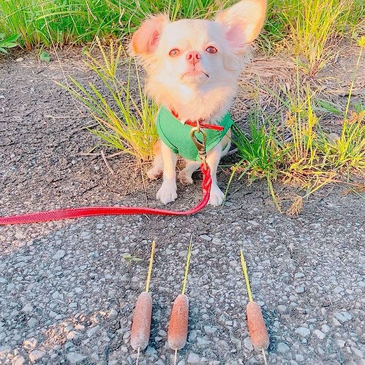 9dc3b319 98b7 4635 8bf7 70b3d4c26daf 1633874017636