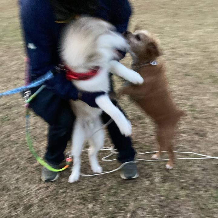 9dc3c00e c9d5 4ce1 8220 929af81486f8 1670505120321