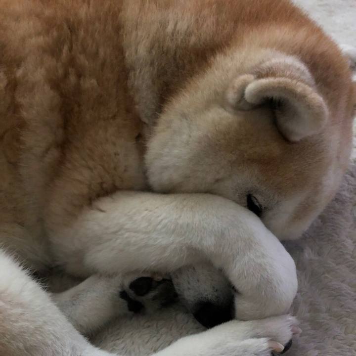 9dc43db2 edf5 4e34 bcbb 20eb8ec694b8 1545547325788