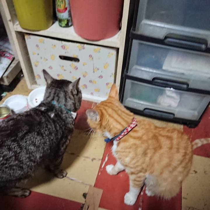 9dc45b1f 4615 46c5 b6c9 fd53b5e55cf7 1561668797558