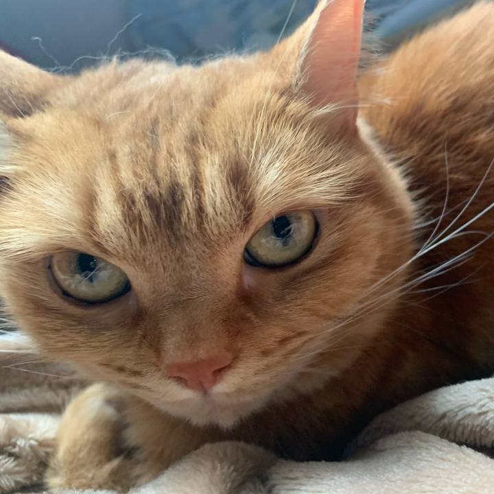 9dc45b25 f9f5 4542 a2c2 891502b50874 1653610037523