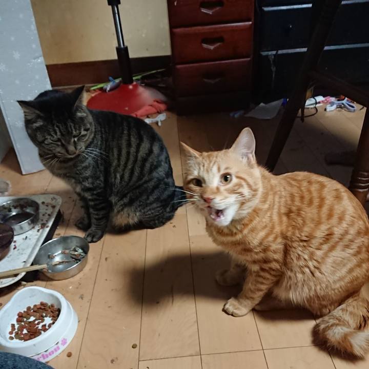 9dc46206 c09a 41a0 af3c 1a6ff8876bd2 1642542496646