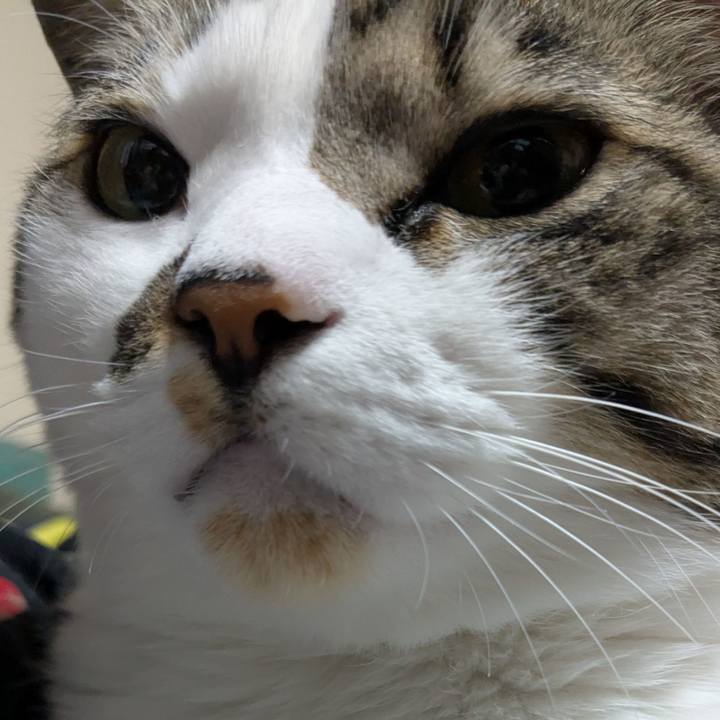 9dc46a68 d32d 4a41 991f 200ff6c162fe 1739629340065