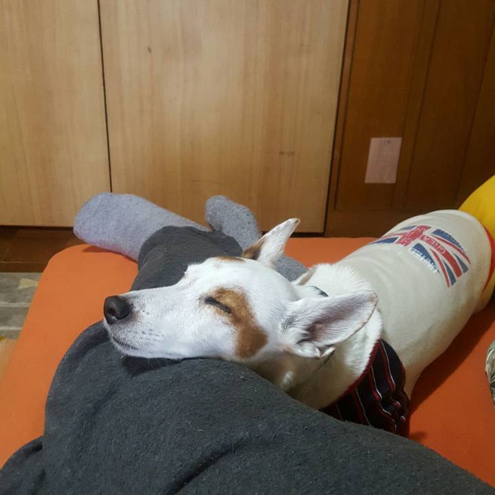 9dc4ad95 f5d6 4901 a89c fbab25b2bb17 1548898630355