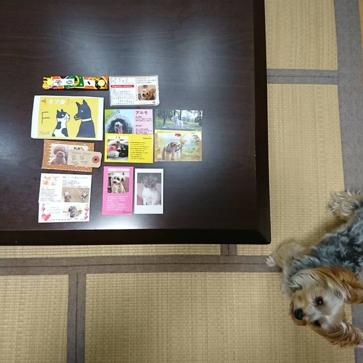 9dc4bfb3 61fc 48b2 8312 8260d17b3e4b 1539327087510