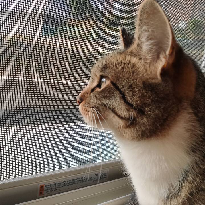 9dc4fd11 e7b1 4afc b2b2 d51d555a2b1e 1678576848799