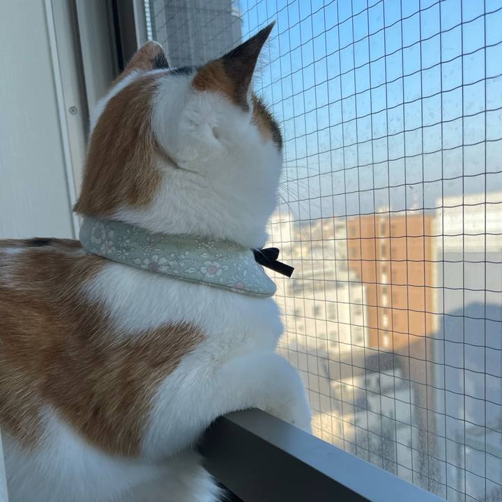 9dc50729 7808 4134 8d37 2c723093c9c5 1668036693350