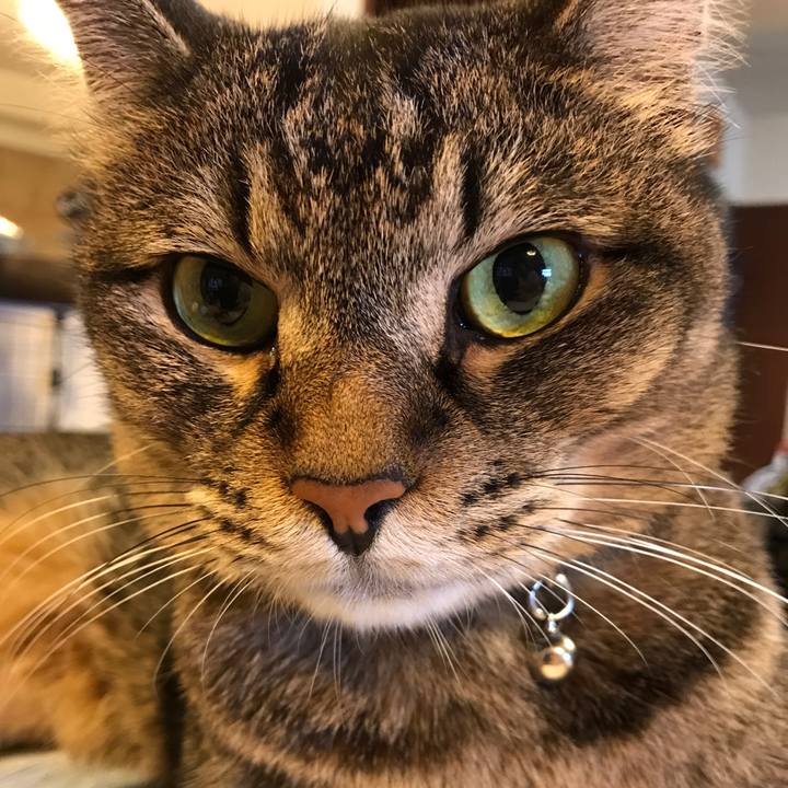 9dc541ee b2fb 46a2 a239 cb692937b7c7 1536555332411