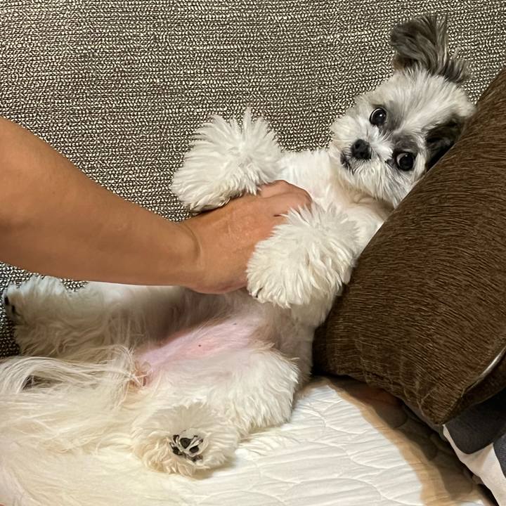 9dc54928 45de 47b0 a699 bd1487657ce5 1663420441253