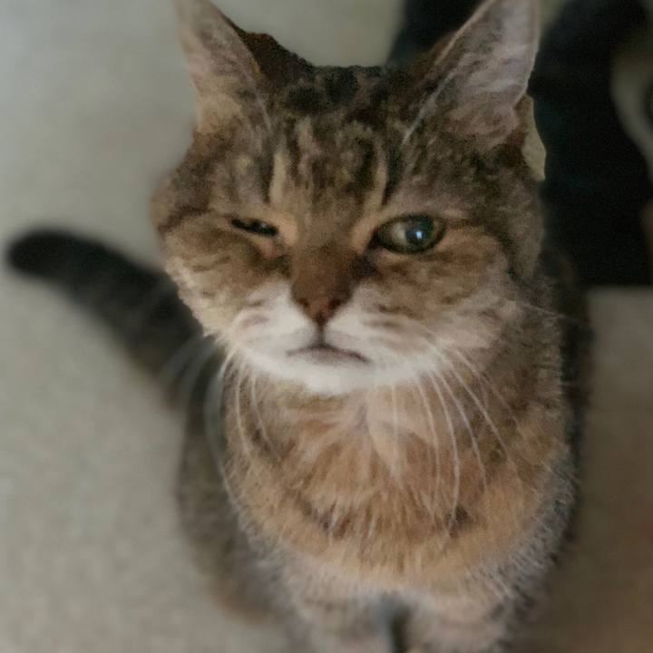 9dc551bf afe6 4cc8 b2ab 6d1a5d37fad3 1540463684829