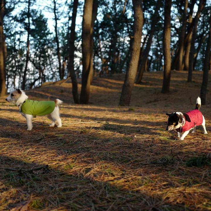 9dc58ca5 da97 4ae4 969b 0ccac9656723 1514436799367