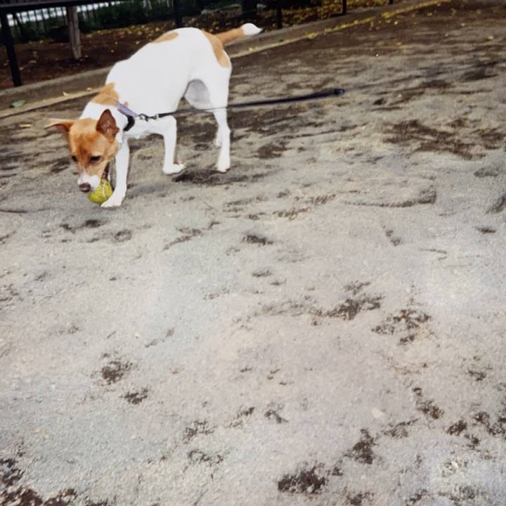 9dc597a3 74e0 4263 85d2 3ac093ed8430 1716005881677