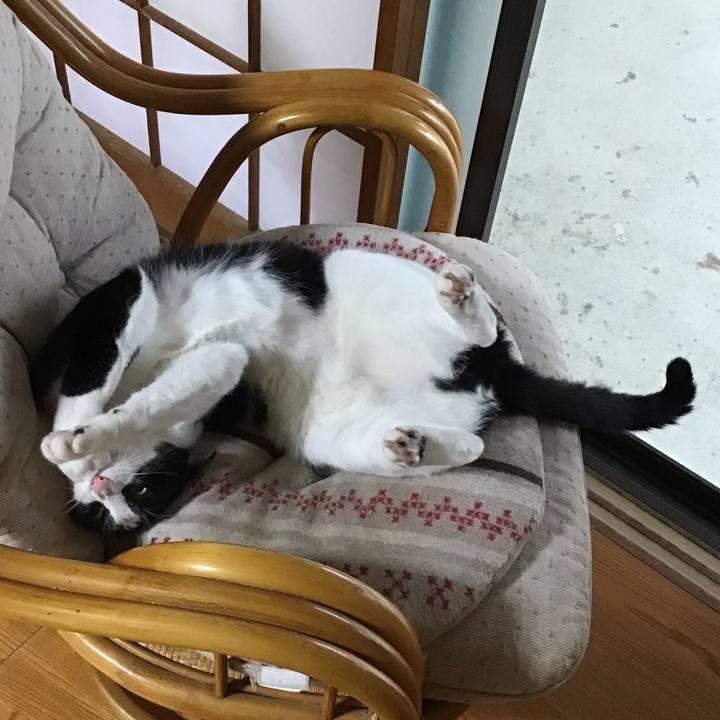 9dc5c448 3728 46a3 9dfb 82db65caae42 1721039339337