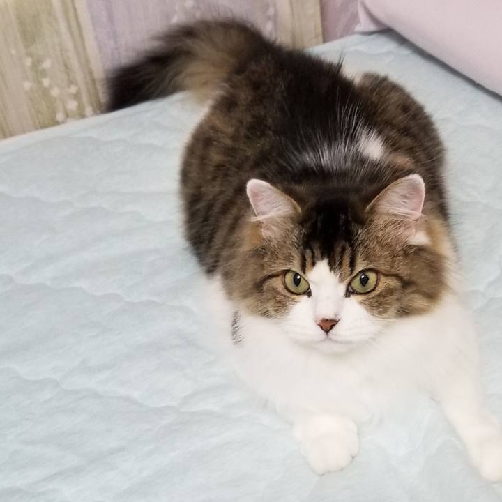 9dc605d7 0bf4 4229 8230 56a122f472ff 1569619972715