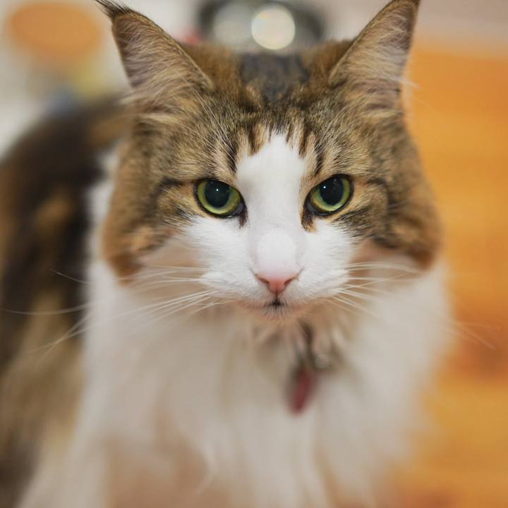 9dc619d8 df4a 4dc0 b595 8d451883802f 1704844660738