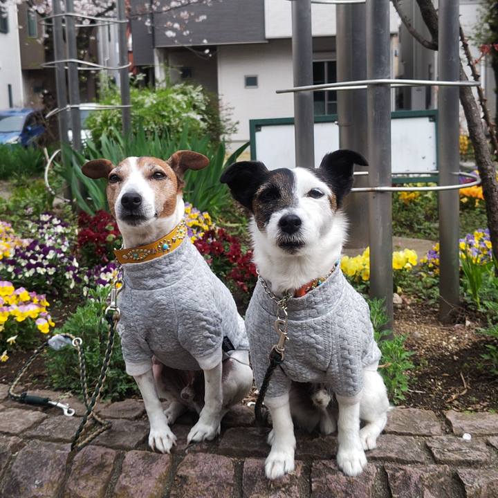 9dc63640 daf7 45b8 903c c4da6eb0ba55 1774905700345