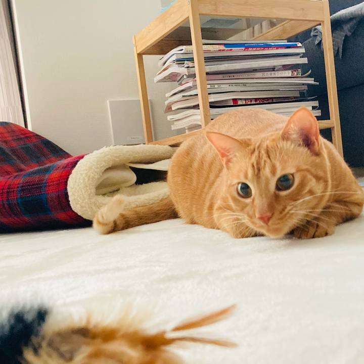 9dc667ae 13d9 4db8 96de d6b6565806b0 1615103054344