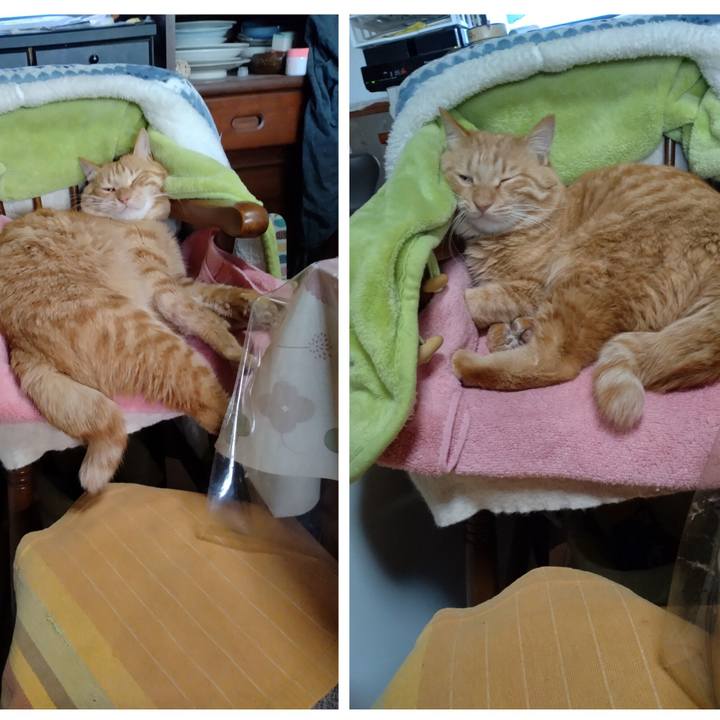 9dc67fd9 625c 4e96 b217 dc25cb51aeed 1671151395838