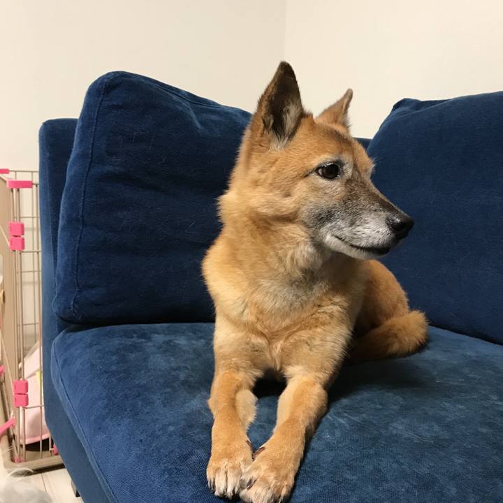 9dc683ad 9de6 43bf 894b bbfec784de34 1518343527484