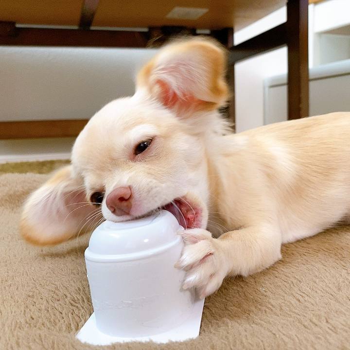 9dc689e0 2eca 4b77 be1b 4a42d94c9cba 1595904522298