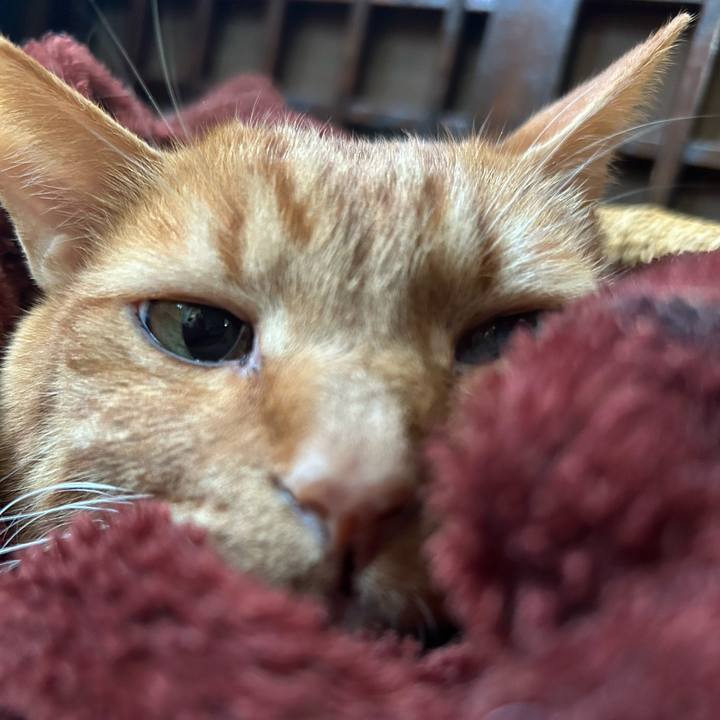 9dc6b351 e5a1 4b5a b792 7491dc348cea 1770159091696