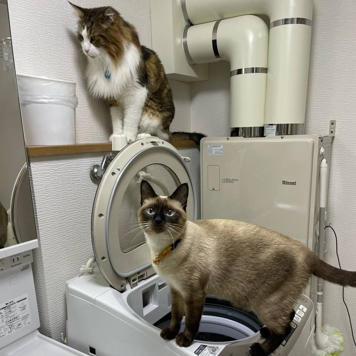 9dc6f0c5 dc46 46bd a6d4 149e1f250efc 1726083887151