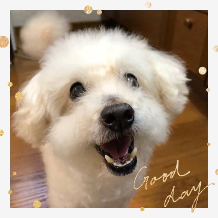 9dc7043a e471 4a2c b616 49b39a4eb562 1559805290456